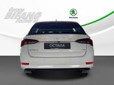 SKODA Octavia Combi 2.0 TSI Ambition DSG 4x4, Benzina, Auto nuove, Automatico - 5