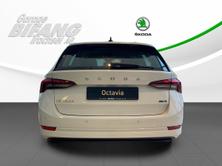 SKODA Octavia Combi 1.5 TSI mHEV DSG Ambition, Hybride Leggero Benzina/Elettrica, Auto nuove, Automatico - 5