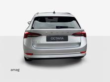 SKODA Octavia Ambition, Diesel, Voiture nouvelle, Automatique - 6