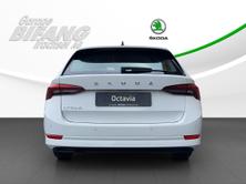 SKODA Octavia Combi 2.0 TDI DSG Ambition, Diesel, Auto nuove, Automatico - 5