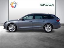 SKODA Octavia Ambition, Diesel, Auto nuove, Automatico - 3