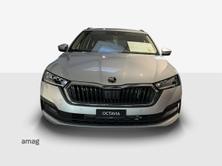 SKODA Octavia Ambition, Diesel, Auto nuove, Automatico - 5