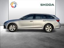 SKODA Octavia Ambition, Diesel, Auto nuove, Automatico - 3