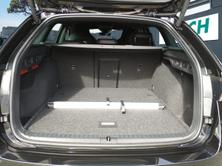 SKODA Octavia RS, Benzina, Auto nuove, Automatico - 6