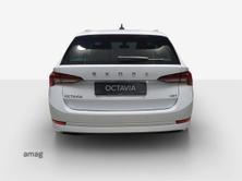SKODA Octavia Ambition, Diesel, Auto nuove, Automatico - 6