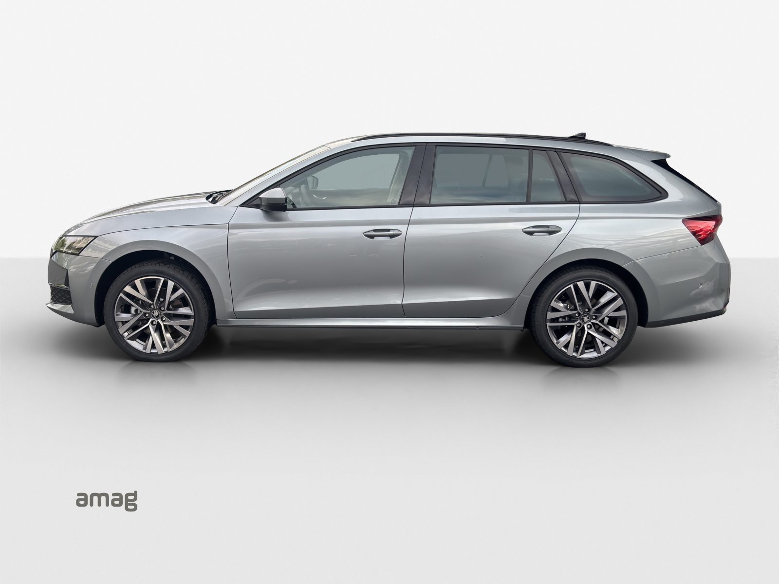 SKODA Octavia Selection, Benzina, Auto nuove, Automatico - 2
