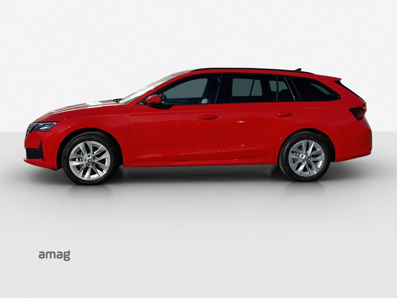 SKODA Octavia Selection, Benzina, Auto nuove, Automatico - 2