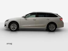 SKODA Octavia Selection, Diesel, Auto nuove, Automatico - 2