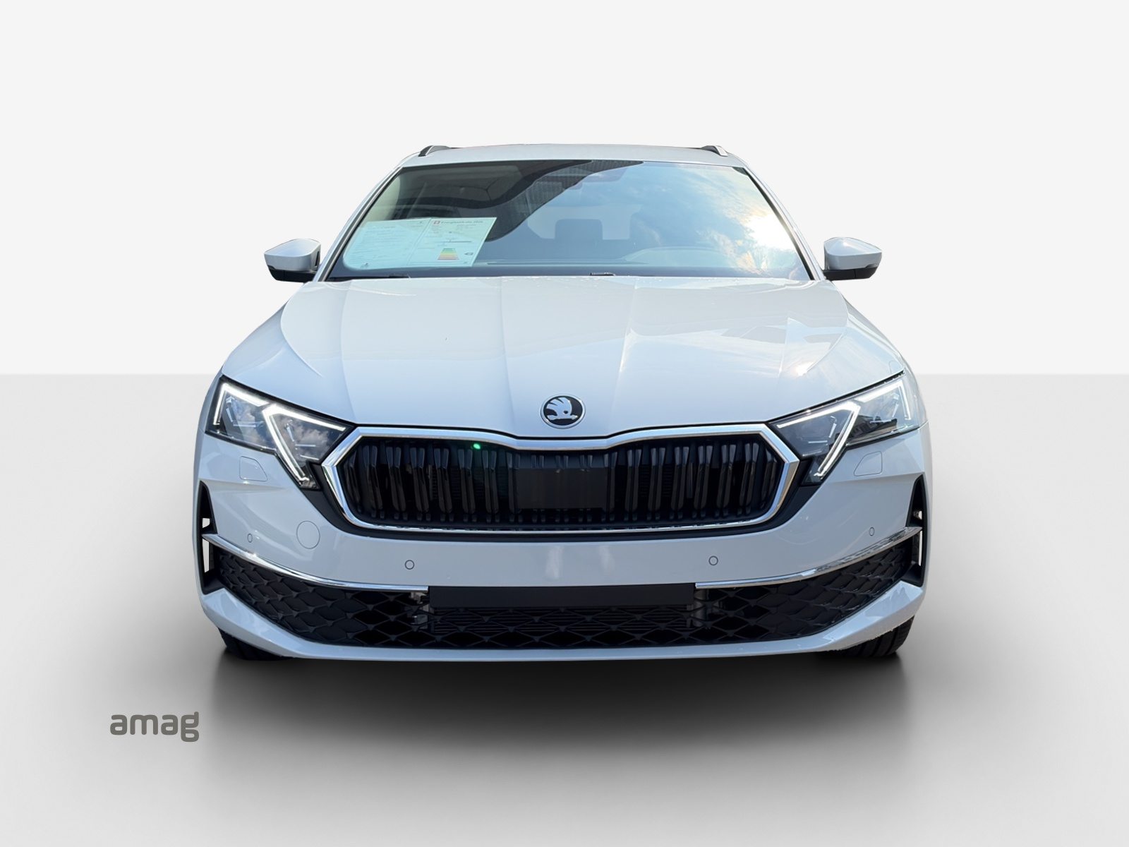 SKODA Octavia Selection, Diesel, Auto nuove, Automatico - 7