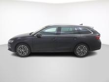 SKODA Octavia 1.5 TSI mHEV Selection-Lounge DSG, Hybride Leggero Benzina/Elettrica, Auto nuove, Automatico - 2