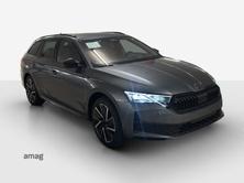 SKODA Octavia RS 30 Years Edition (Netto), Benzin, Neuwagen, Automatik - 6