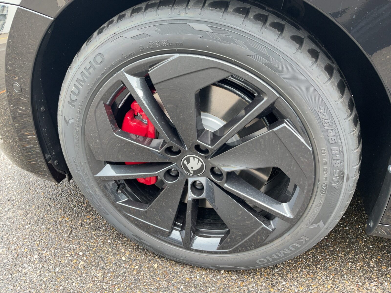 SKODA Octavia RS, Benzin, Neuwagen, Automatik - 6