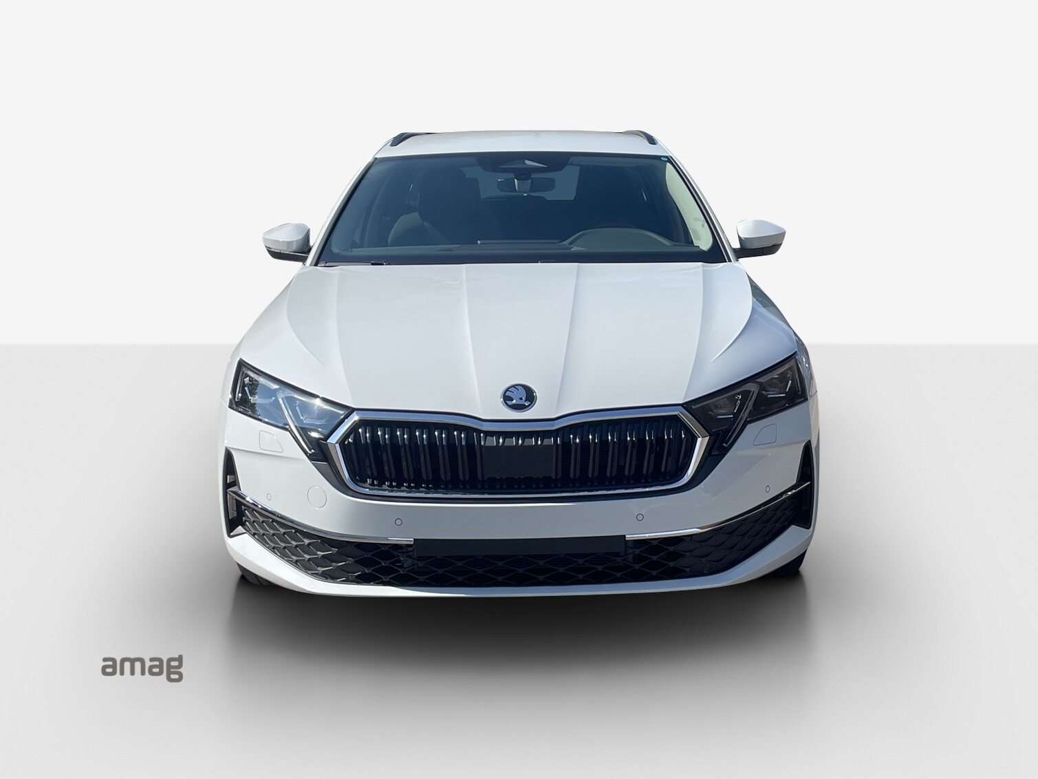 SKODA Octavia Selection, Diesel, Auto nuove, Automatico - 7