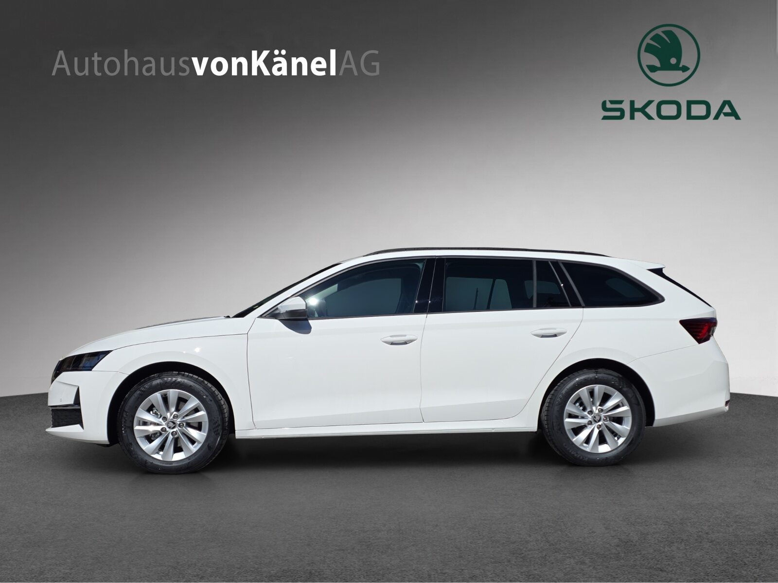 SKODA Octavia Selection, Benzin, Neuwagen, Automatik - 2