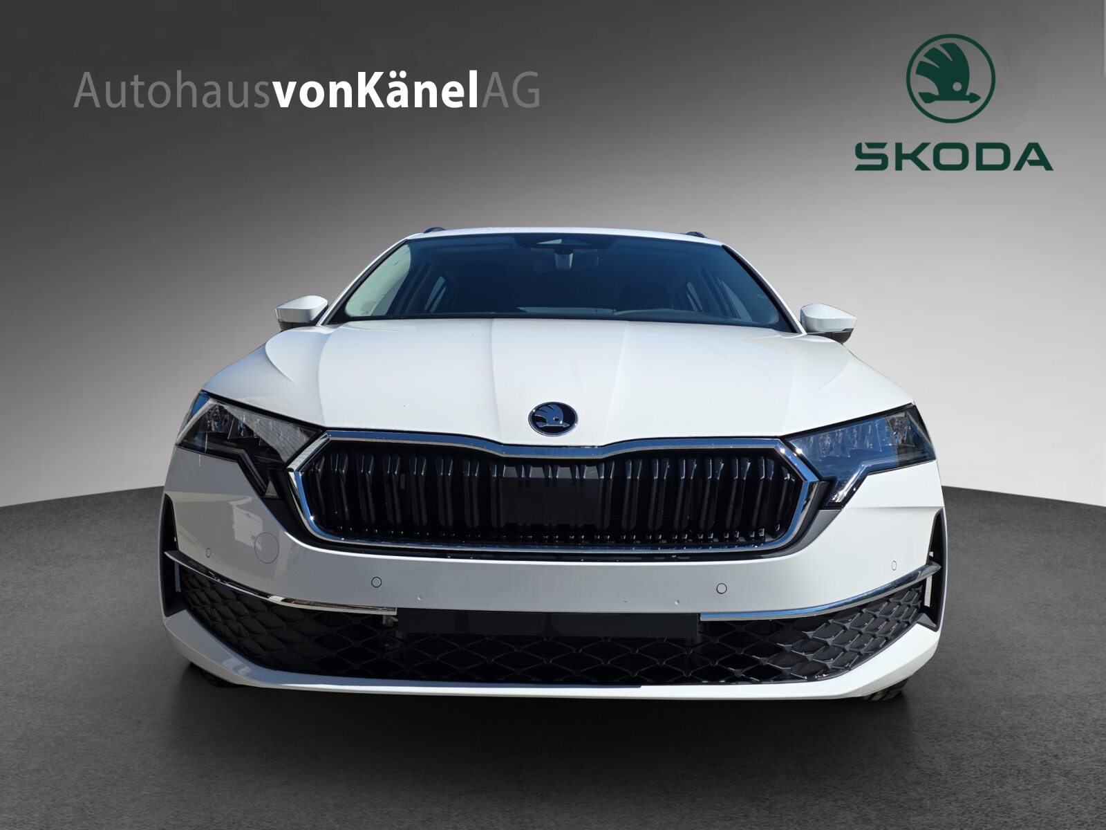 SKODA Octavia Selection, Benzin, Neuwagen, Automatik - 4