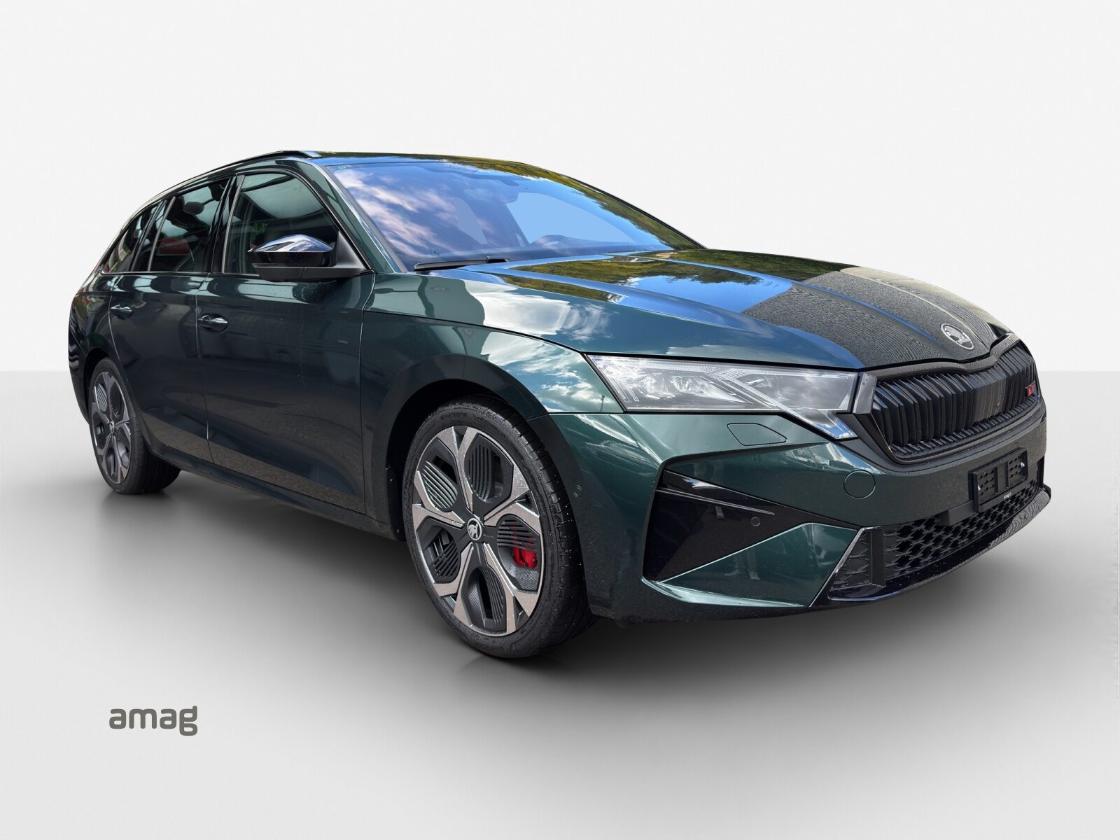 SKODA Octavia RS 30 Years Edition (Netto), Benzin, Neuwagen, Automatik - 6