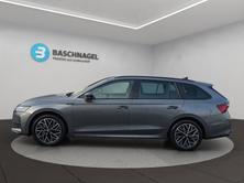 SKODA Octavia Sportline Dynamic (Netto), Benzin, Neuwagen, Automatik - 2