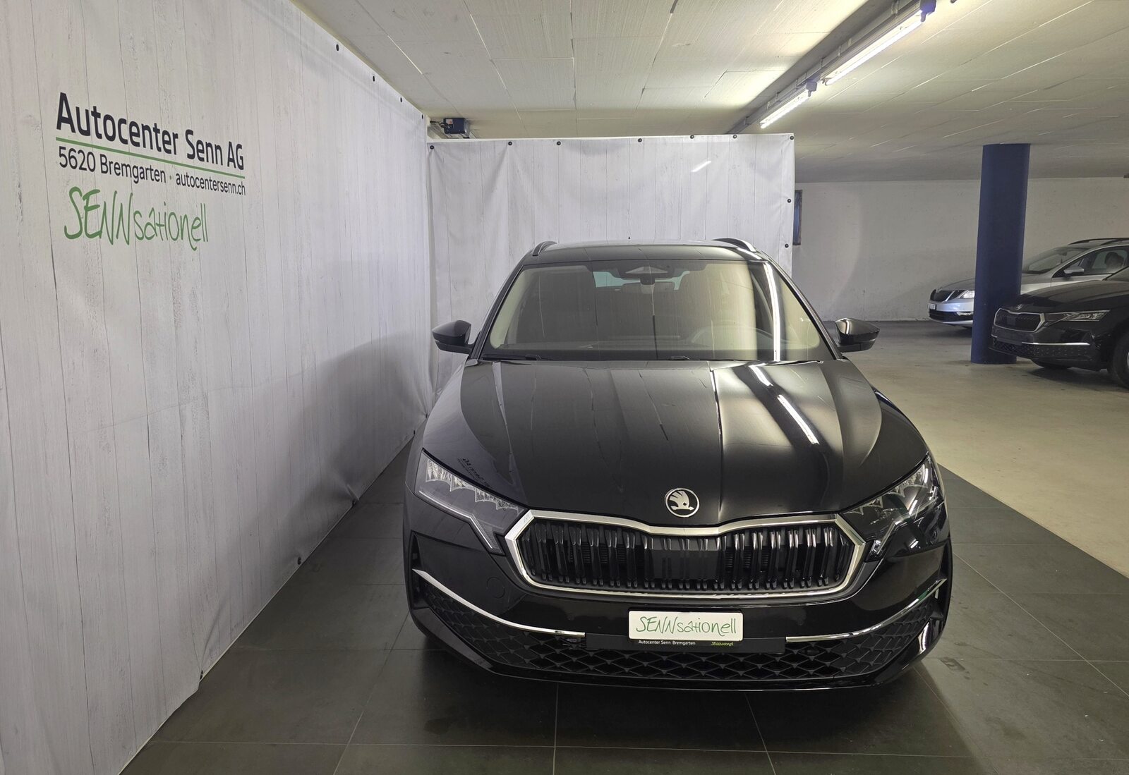 SKODA Octavia Selection, Diesel, Auto nuove, Automatico - 2