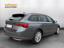 SKODA Octavia Selection MHEV, Benzina, Auto nuove, Automatico - 4