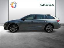 SKODA Octavia Sportline Dynamic (Netto), Benzina, Auto nuove, Automatico - 3
