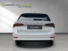 SKODA Octavia Ambition, Diesel, Occasioni / Usate, Automatico - 5