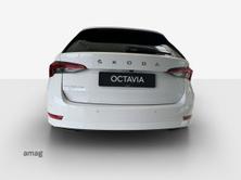 SKODA Octavia Ambition, Diesel, Occasion / Utilisé, Automatique - 6