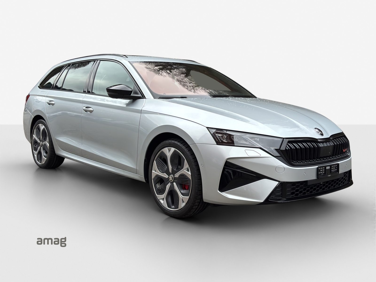 SKODA Octavia RS, Benzina, Occasioni / Usate, Automatico - 6