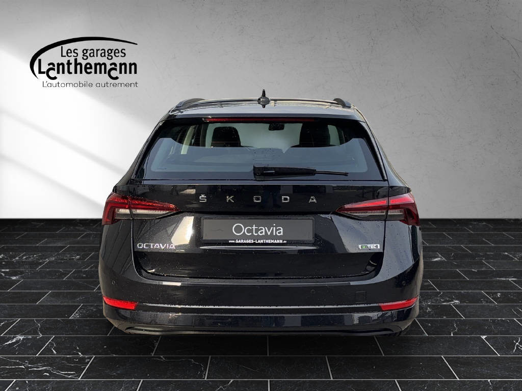 SKODA Octavia Ambition mHEV, Benzina, Occasioni / Usate, Automatico - 4