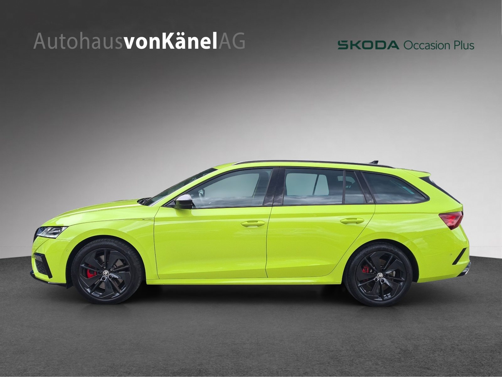 SKODA Octavia RS, Essence, Occasion / Utilisé, Automatique - 2