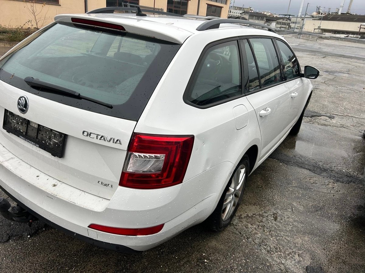 SKODA Octavia Combi 1.6 TDI Ambition 4x4, Diesel, Occasioni / Usate, Manuale - 6