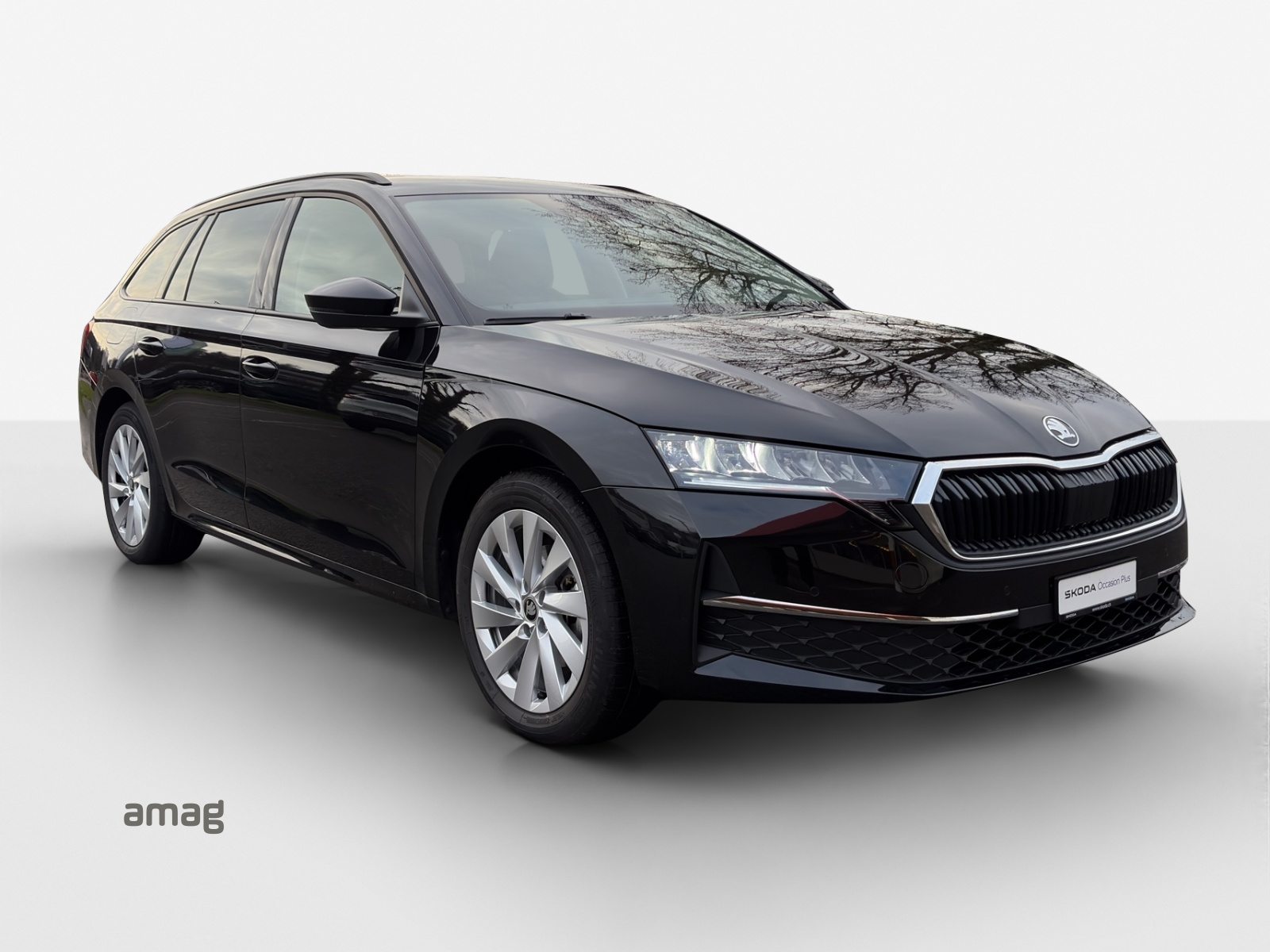 SKODA Octavia Selection, Diesel, Occasion / Gebraucht, Automat - 6