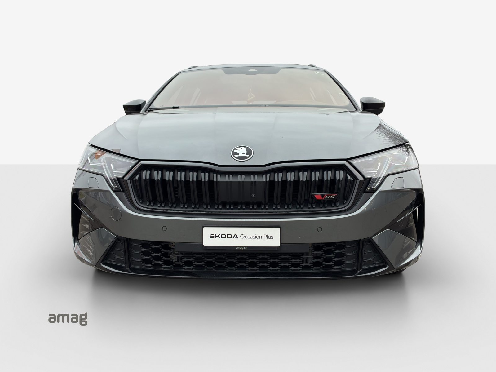 SKODA Octavia RS, Benzina, Occasioni / Usate, Automatico - 7