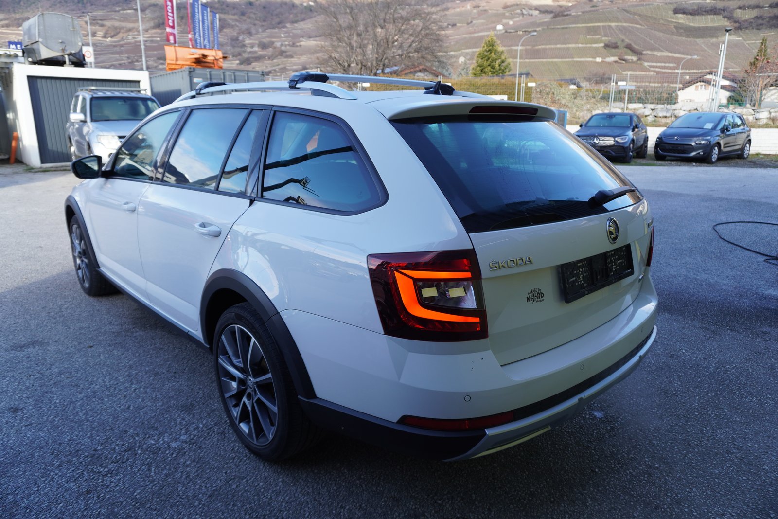 SKODA Octavia Combi 2.0 TSI Scout 4x4 DSG, Benzina, Occasioni / Usate, Automatico - 5