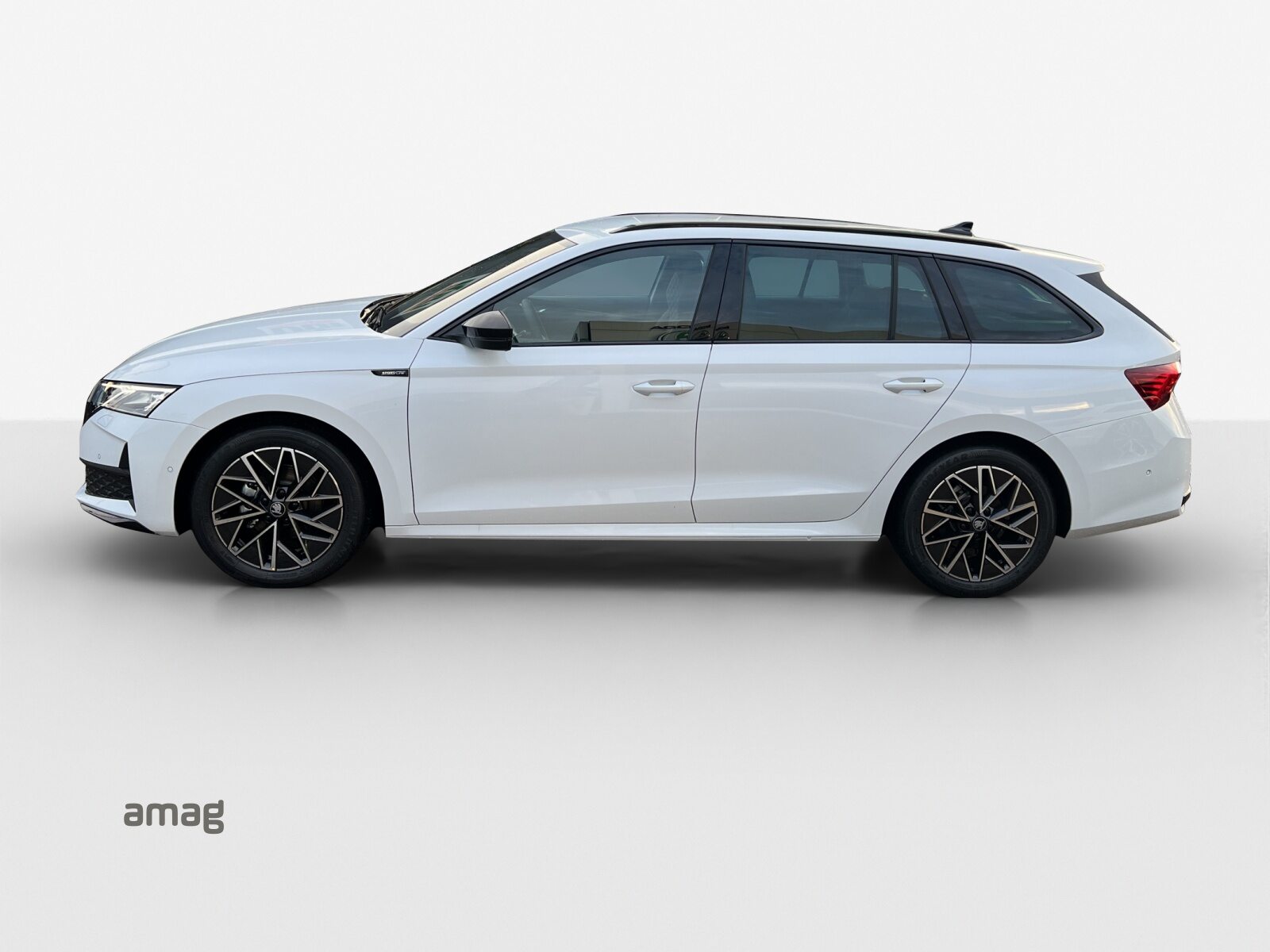 SKODA Octavia Sportline Dynamic (Netto), Benzina, Occasioni / Usate, Automatico - 2