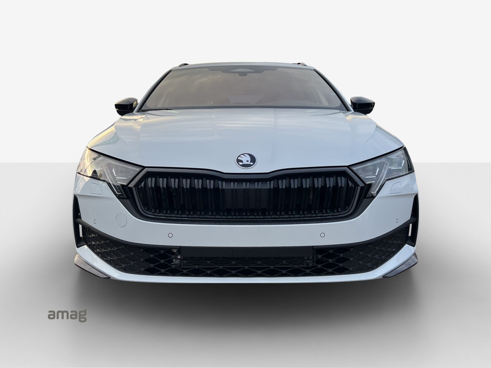 SKODA Octavia Sportline Dynamic (Netto), Benzina, Occasioni / Usate, Automatico - 7