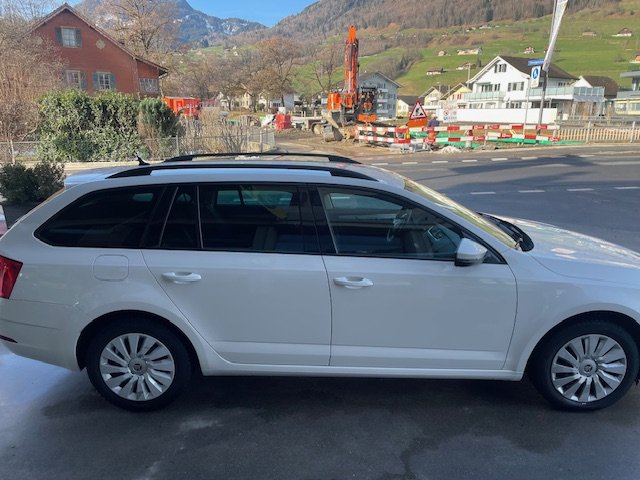SKODA Octavia Combi 2.0 TSI Ambition 4x4 DSG, Benzina, Occasioni / Usate, Automatico - 4