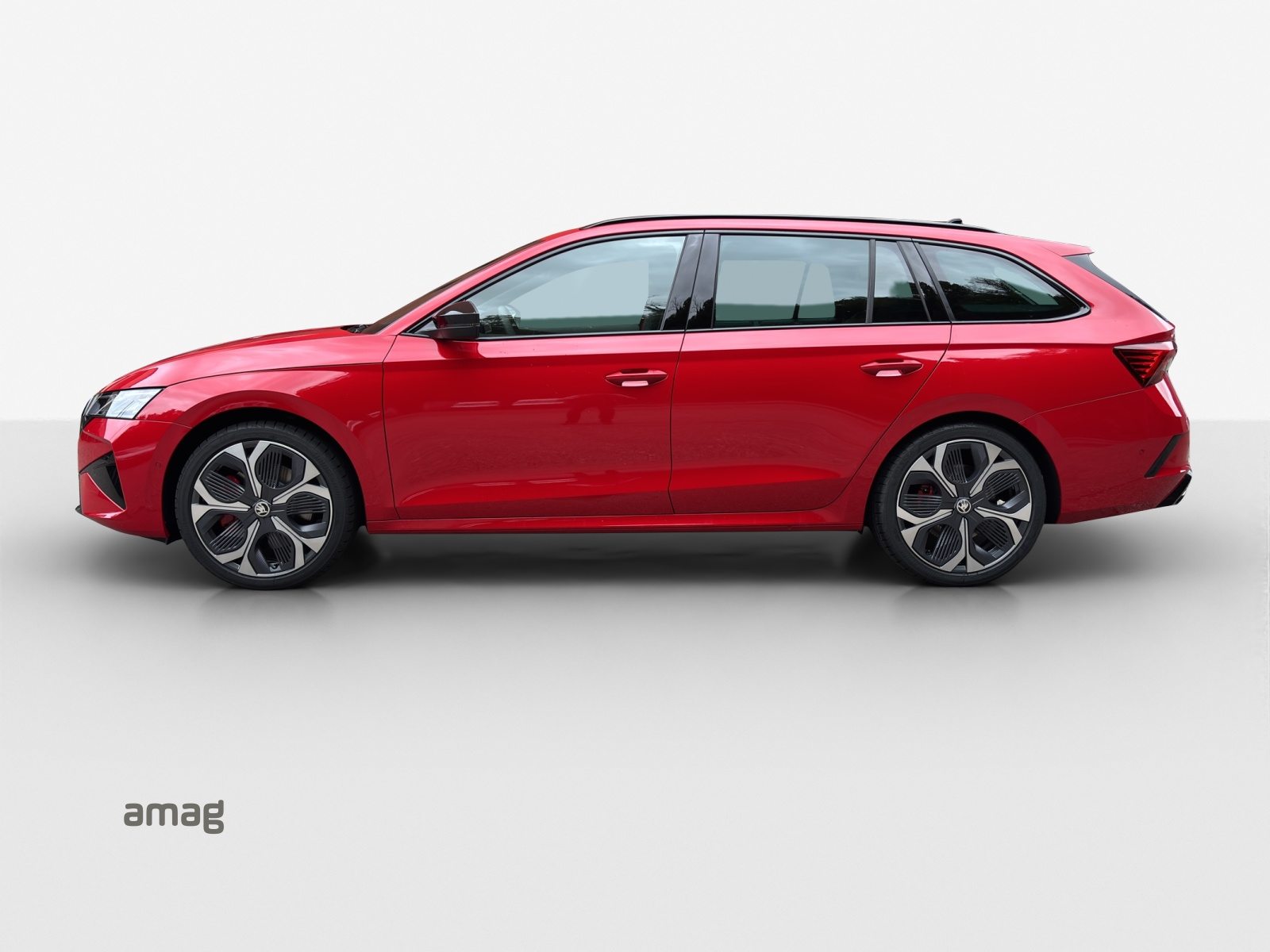 SKODA Octavia RS, Benzina, Occasioni / Usate, Automatico - 2