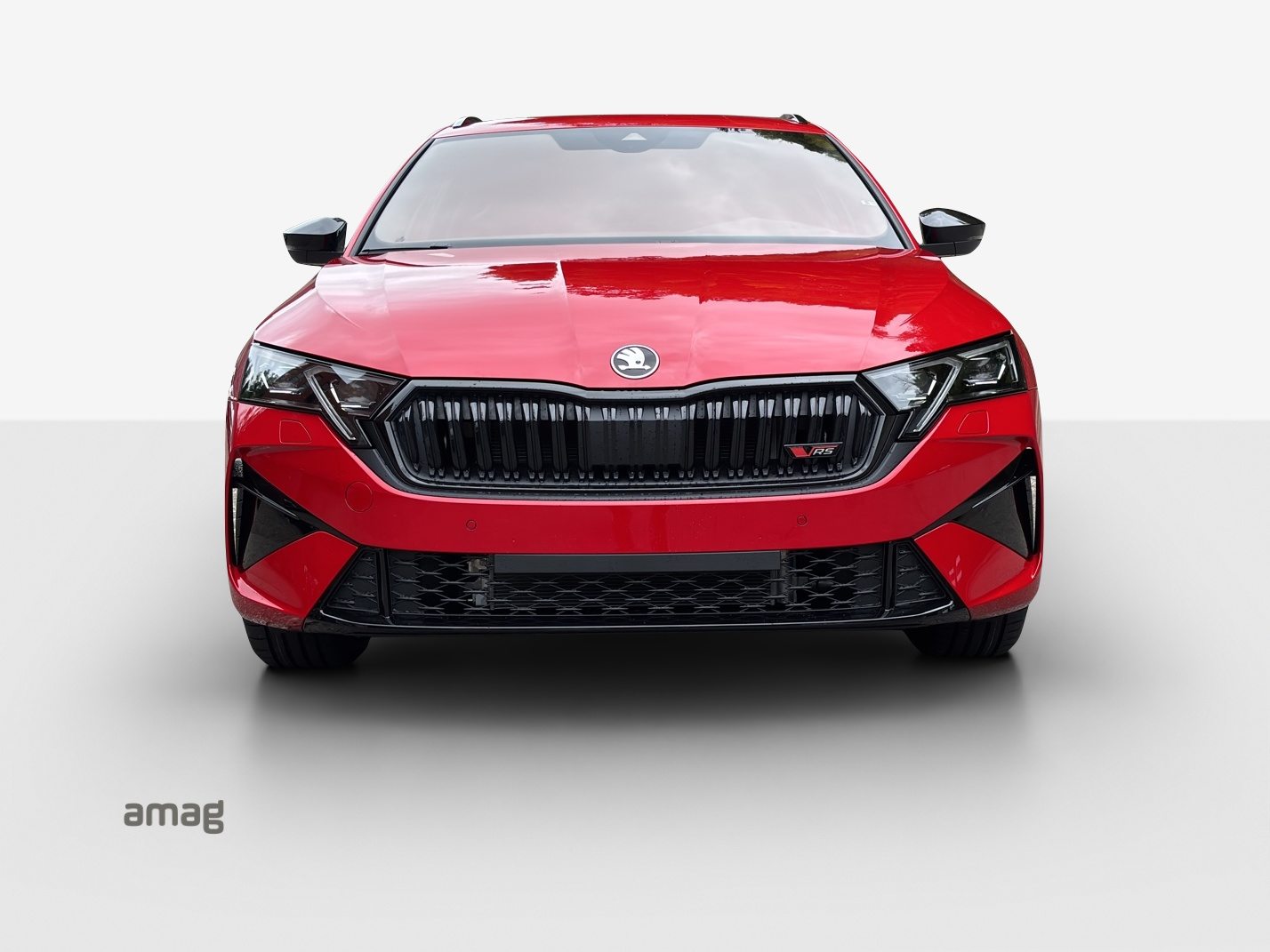 SKODA Octavia RS, Benzina, Occasioni / Usate, Automatico - 6