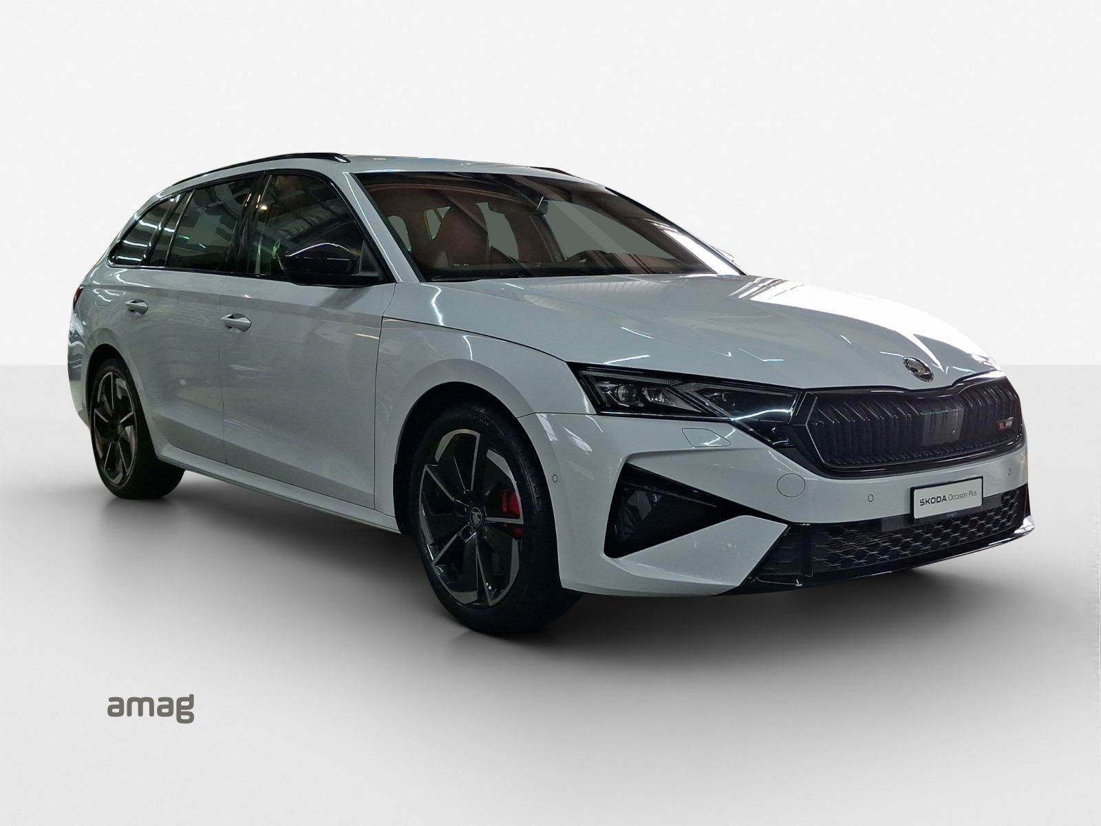 SKODA Octavia RS, Benzina, Occasioni / Usate, Automatico - 6