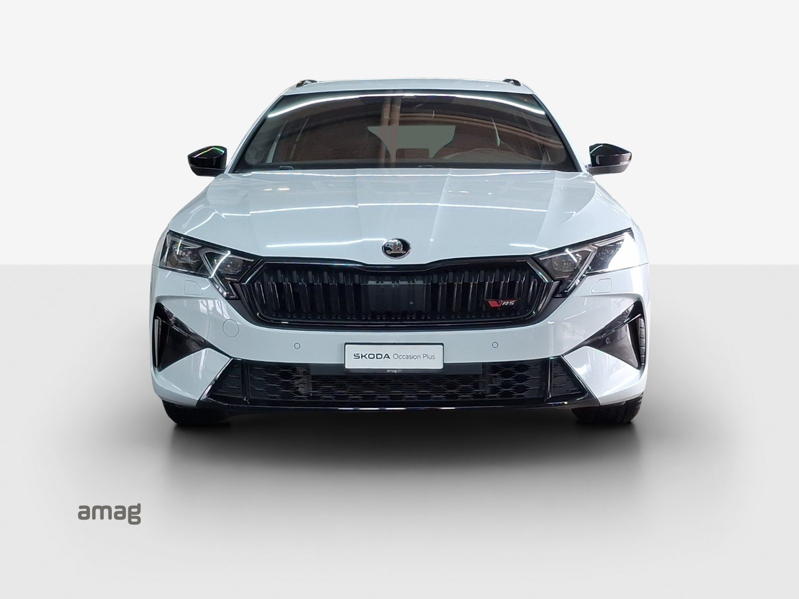SKODA Octavia RS, Benzina, Occasioni / Usate, Automatico - 7