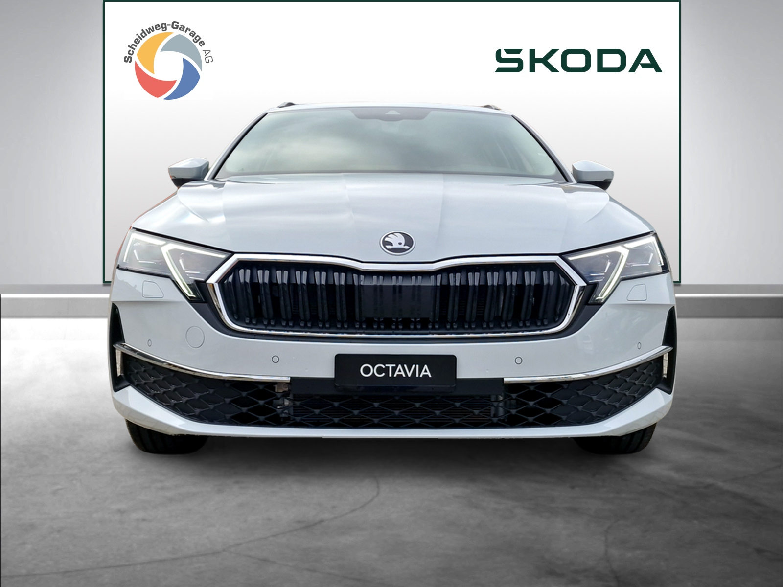 SKODA Octavia Selection, Diesel, Occasioni / Usate, Automatico - 2