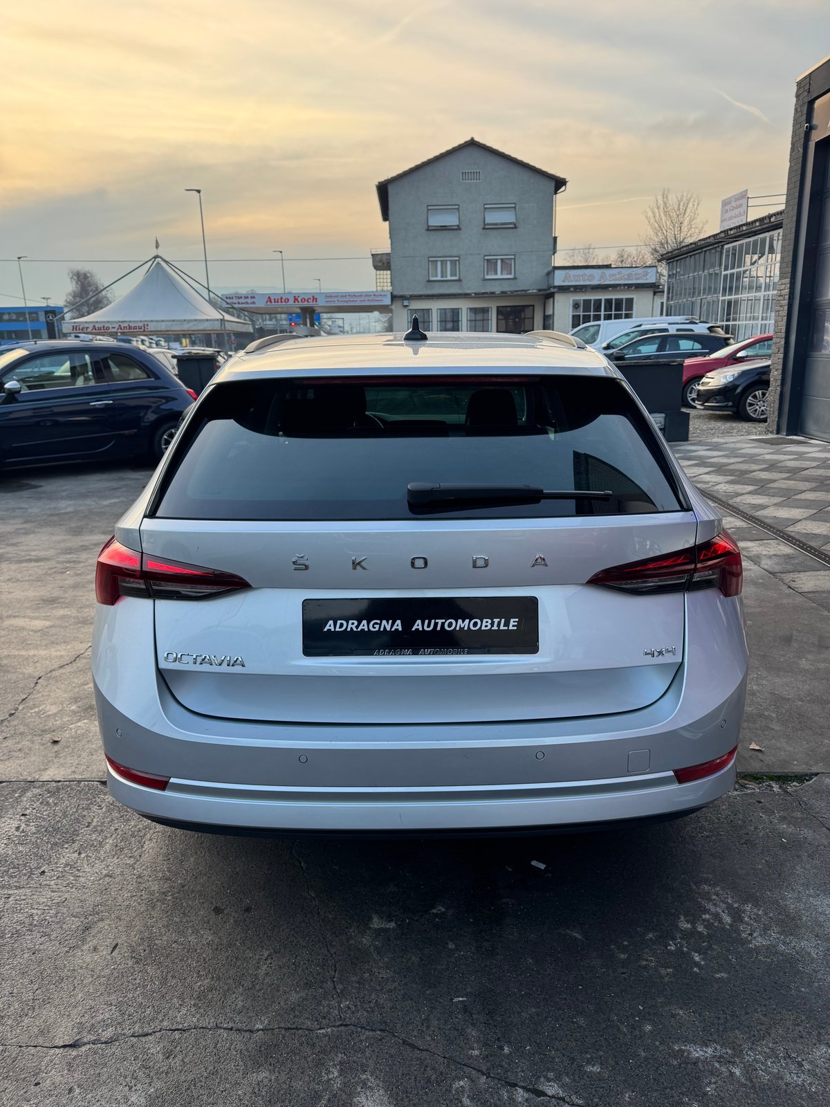 SKODA Octavia Combi 2.0 TDI DSG Ambition 4x4, Diesel, Occasion / Utilisé, Automatique - 7