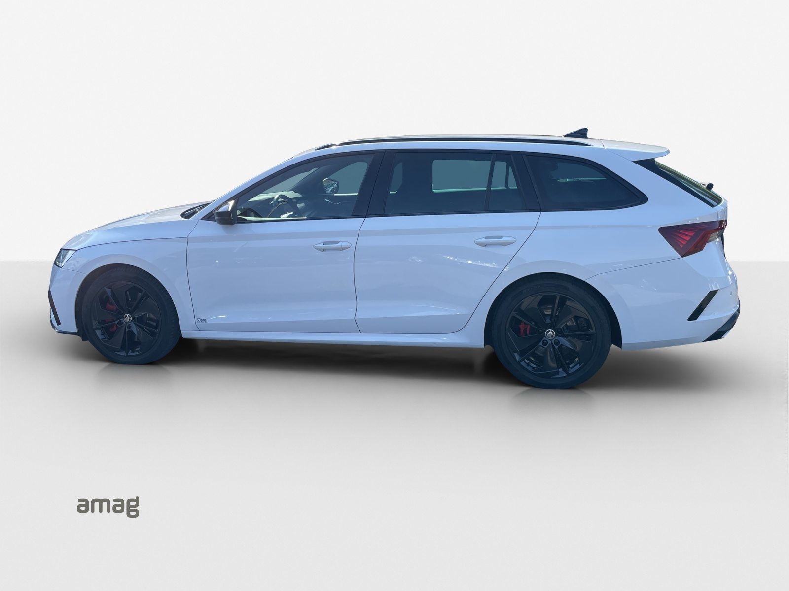 SKODA NEW OCTAVIA RS, Benzina, Occasioni / Usate, Automatico - 2