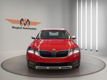 SKODA Octavia Combi 2.0 TDI Scout 4x4 DSG, Diesel, Occasioni / Usate, Automatico - 2