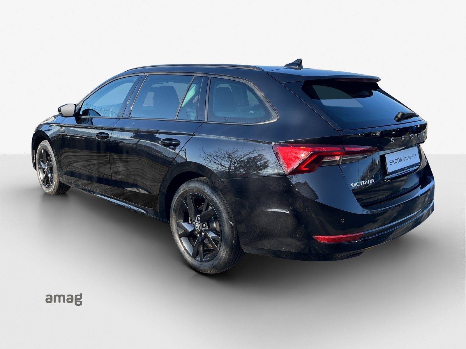 SKODA Octavia Ambition, Benzina, Occasioni / Usate, Automatico - 3