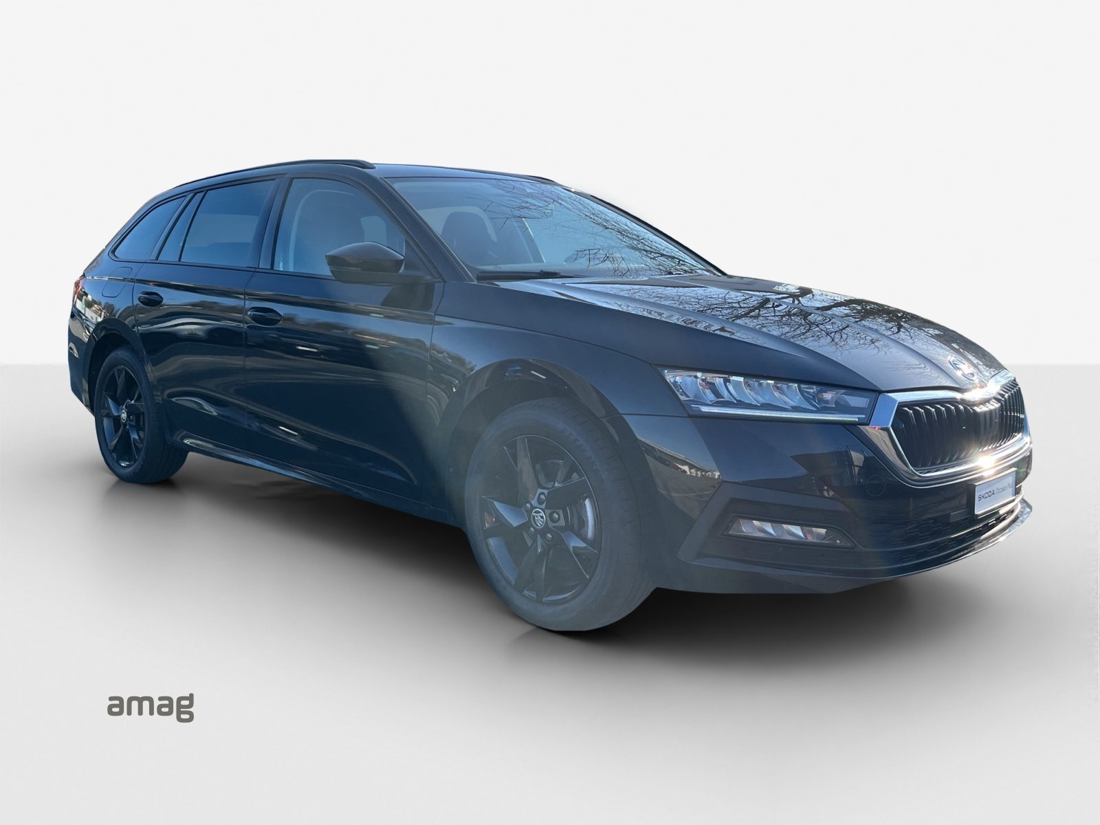 SKODA Octavia Ambition, Benzina, Occasioni / Usate, Automatico - 6