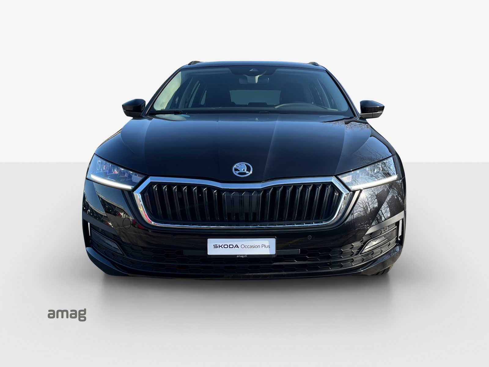 SKODA Octavia Ambition, Benzina, Occasioni / Usate, Automatico - 7