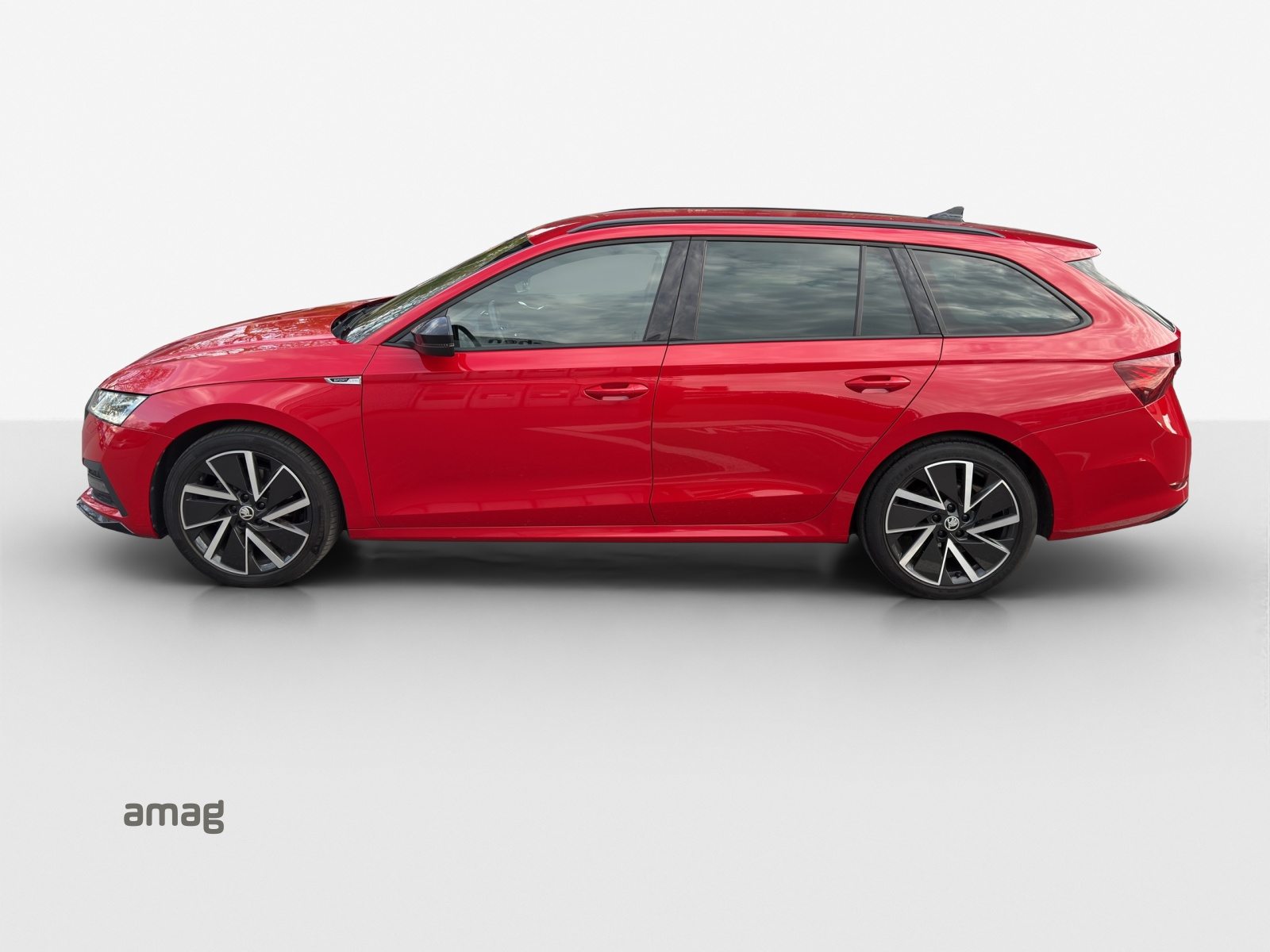 SKODA Octavia SportLine, Benzina, Occasioni / Usate, Automatico - 2