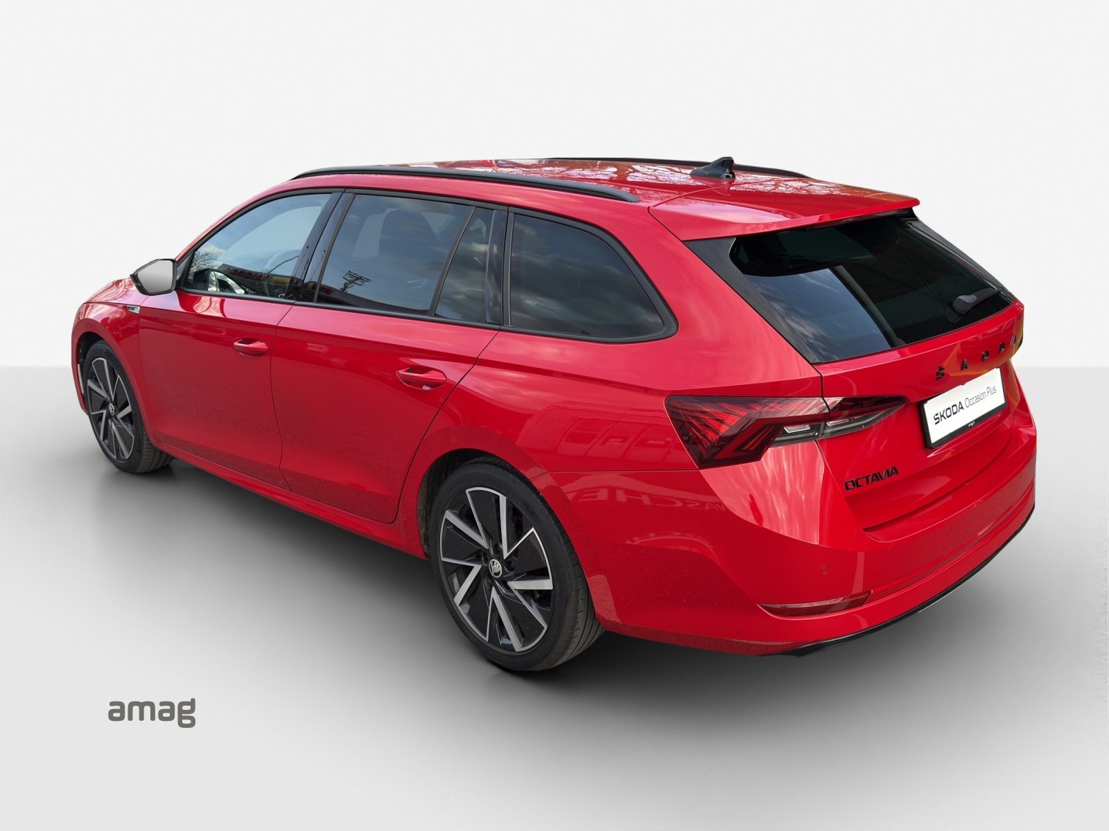 SKODA Octavia SportLine, Benzina, Occasioni / Usate, Automatico - 3