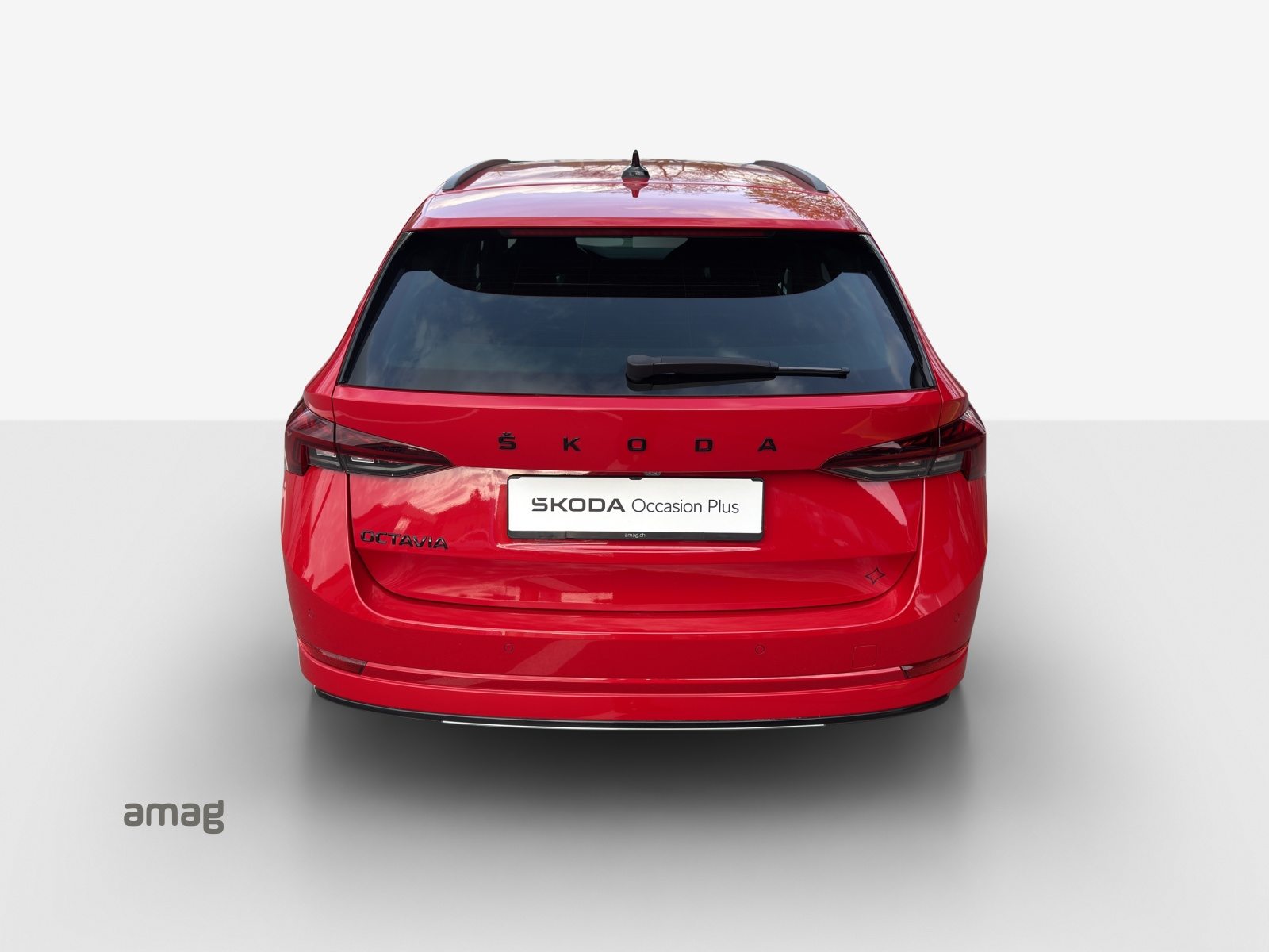 SKODA Octavia SportLine, Benzina, Occasioni / Usate, Automatico - 4